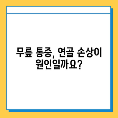 무릎 관절연골 통증 완화, 영양제로 관리하세요! | 관절 건강, 연골 재생, 추천 영양제