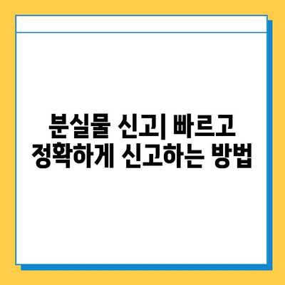 타이베이공항 분실물 찾기| 센터 이용 및 유용한 정보 | 분실물센터,  분실물 신고, 찾는 방법