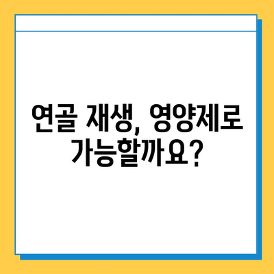 무릎 관절연골 통증 완화, 영양제로 관리하세요! | 관절 건강, 연골 재생, 추천 영양제