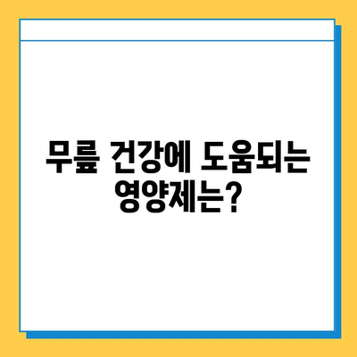 무릎 관절연골 통증 완화, 영양제로 관리하세요! | 관절 건강, 연골 재생, 추천 영양제