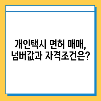 광주 남구 백운2동 개인택시 면허 매매 가격| 오늘 시세 확인하기 | 번호판, 넘버값, 자격조건, 월수입, 양수교육