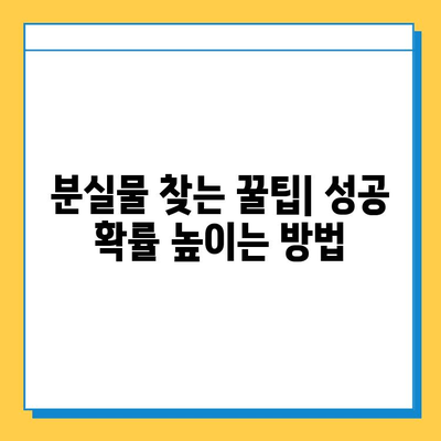 공항 분실물 찾기 완벽 가이드| 여행 중 물건 잃어버렸을 때 | 분실물 신고, 찾는 방법, 주의 사항, 꿀팁