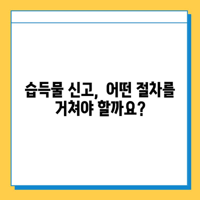 분실물 접수 & 습득물 신고, 이제 헷갈리지 마세요! | 간편한 절차, 단계별 가이드