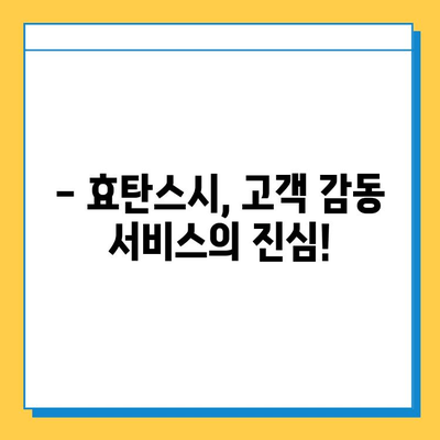 효탄스시 분실물 찾기| 필사의 노력, 그 결과는? | 효탄스시, 분실물, 찾기, 성공사례