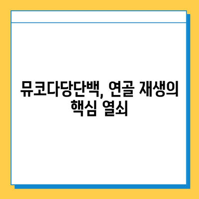 연골 재생을 위한 선택! 뮤코다당단백 영양제의 놀라운 효능 | 연골 건강, 관절 건강, 영양제 추천