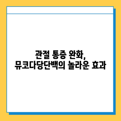 연골 재생을 위한 선택! 뮤코다당단백 영양제의 놀라운 효능 | 연골 건강, 관절 건강, 영양제 추천