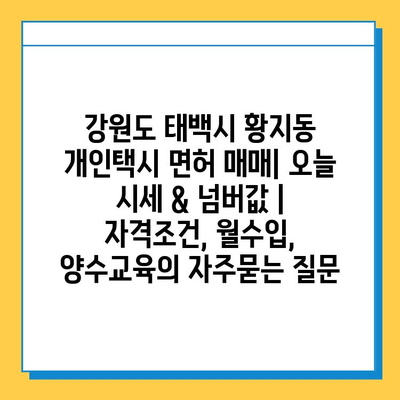 강원도 태백시 황지동 개인택시 면허 매매| 오늘 시세 & 넘버값 | 자격조건, 월수입, 양수교육