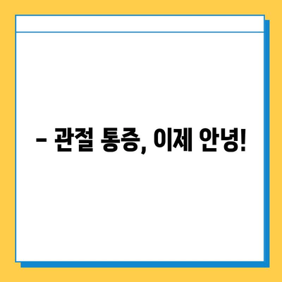 관절연골영양제 체험 후기| 놀라운 변화 | 실제 효과, 솔직 후기, 추천 제품