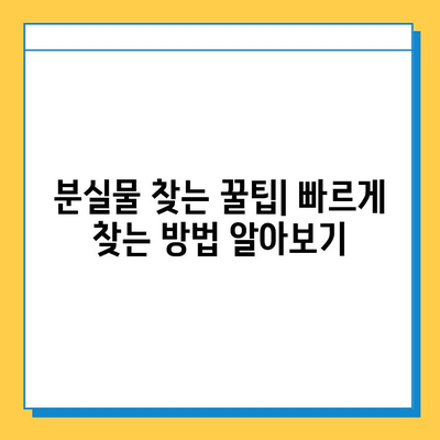 국립디지털도서관 분실물 찾기| 접수 방법 및 유의사항 | 분실물, 도서관, 안내, 절차, 연락처