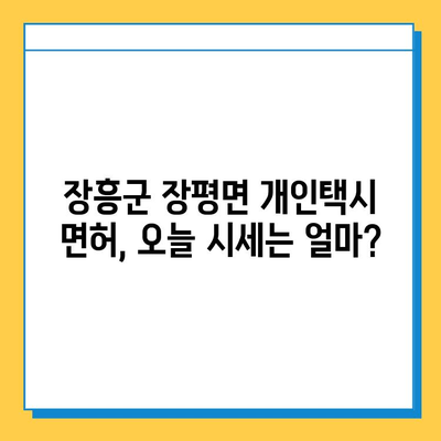 전라남도 장흥군 장평면 개인택시 면허 매매 가격| 오늘 시세 확인 및 양수 교육 정보 | 넘버값, 자격조건, 월수입