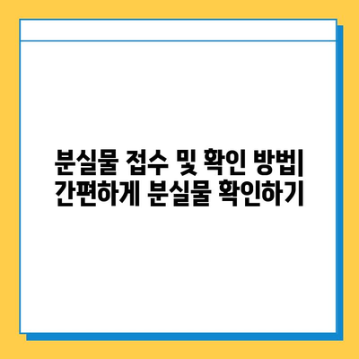 쏠비치 분실물 센터 안내|  찾아가는 방법, 운영시간, 연락처 | 쏠비치, 분실물, 센터, 안내