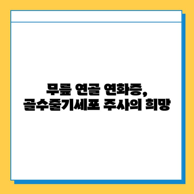 무릎 연골 연화증, 골수줄기세포 주사가 해답이 될 수 있을까요? | 연골 재생, 치료 가능성, 주의사항