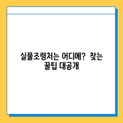 한국원어로 분실물 센터| "실물조령처" 찾는 방법 | 분실물신고, 분실물센터, 실물조령처, 한국어