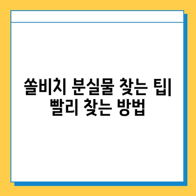 쏠비치 분실물 찾기| 쉽고 빠르게 내 물건 되찾기 | 분실물센터, 연락처, 찾는 방법