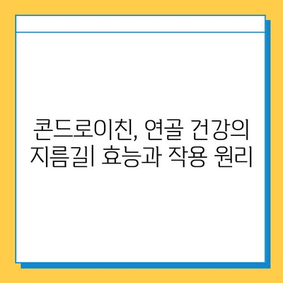 호주 관절 연골 영양제 후기| 콘드로이친 추천 이유 | 관절 건강, 연골 재생, 효능 비교, 구매 가이드