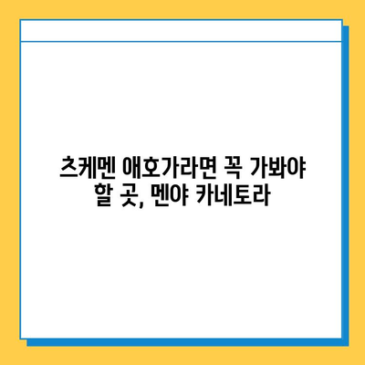 츠케멘 명가, 멘야 카네토라| 걸작 츠케멘의 진수를 경험하다 | 츠케멘 맛집, 멘야 카네토라, 츠케멘 맛집 추천, 도쿄 맛집