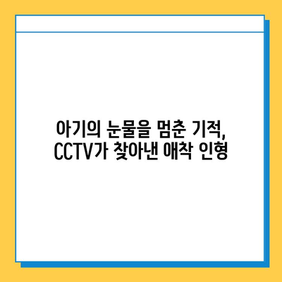 인천공항 CCTV, 분실된 아기 애착 인형 찾아냈다! | 인천공항, CCTV, 애착 인형, 분실물