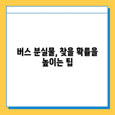 버스에서 물건을 잃어버렸을 때? 당황하지 말고 이렇게 해 보세요! | 분실물, 버스, 대처법, 찾는 방법