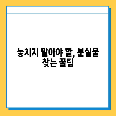 대중교통에서 놓고 내린 물건 찾기 완벽 가이드 | 분실물 신고, 꿀팁, 찾는 방법