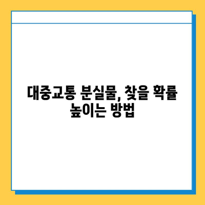 대중교통에서 놓고 내린 물건 찾기 완벽 가이드 | 분실물 신고, 꿀팁, 찾는 방법