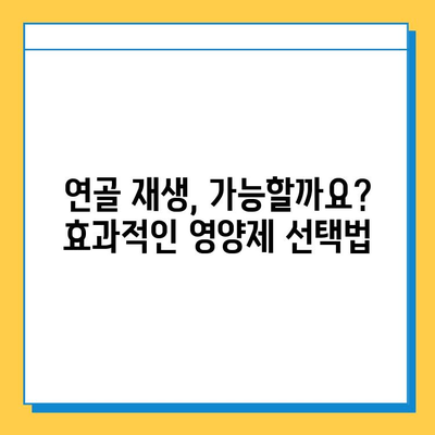 관절 건강 지키는 선택! 나에게 딱 맞는 관절연골 영양제 고르는 방법 | 관절 통증, 연골 재생, 영양제 추천, 건강 관리