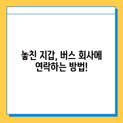 버스에 지갑을 놓고 내렸을 때? 당황하지 말고 이렇게 해보세요! | 분실물, 버스, 지갑, 찾는 방법, 팁