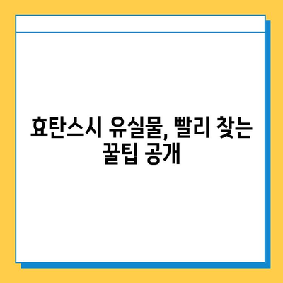 효탄스시에서 유실물을 찾았을 때? 꼭 알아야 할 대처법 | 유실물, 분실물, 효탄스시, 찾는 방법, 대처 가이드