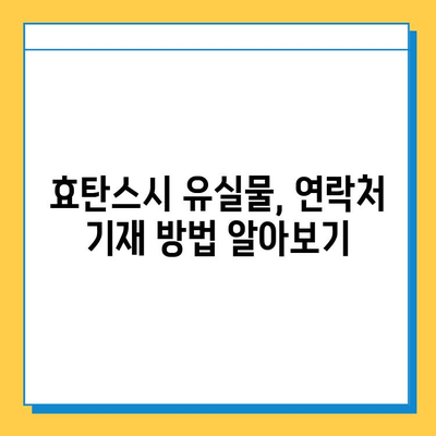 효탄스시에서 유실물을 찾았을 때? 꼭 알아야 할 대처법 | 유실물, 분실물, 효탄스시, 찾는 방법, 대처 가이드