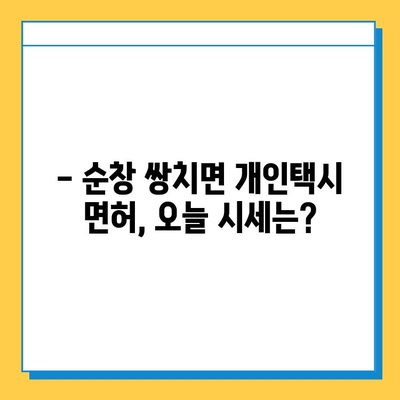 전라북도 순창군 쌍치면 오늘 개인택시 면허 매매 가격| 상세 정보 & 양수 교육 | 넘버값, 자격조건, 월수입