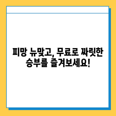 피망 뉴맞고 다운로드 후 무료 고스톱 게임 시작하기| 초보자를 위한 완벽 가이드 | 피망 뉴맞고, 고스톱, 무료 게임, 게임 시작