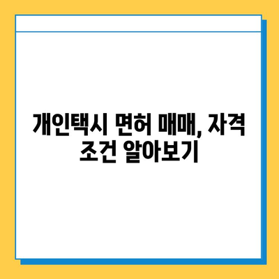 강원도 철원군 갈말읍 개인택시 면허 매매| 오늘 시세 확인 & 자격조건 | 월수입 | 양수교육 | 넘버값