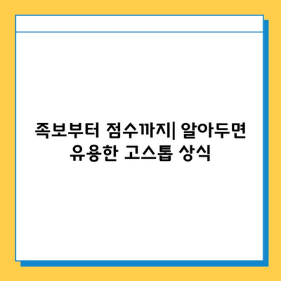 원조이 대박맞고 고스톱 게임 다운로드 & 게임 방법 완벽 가이드 | 고스톱 룰, 전략, 승리 팁