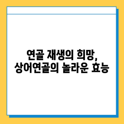 관절염증약 상어연골| 건강한 관절 회복을 위한 선택 | 관절염, 연골 재생, 통증 완화, 건강 정보