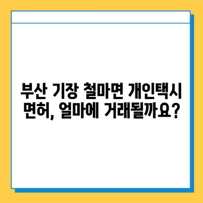 부산 기장군 철마면 개인택시 면허 매매 가격| 오늘 시세, 넘버값, 자격조건, 월수입, 양수교육 | 상세 가이드