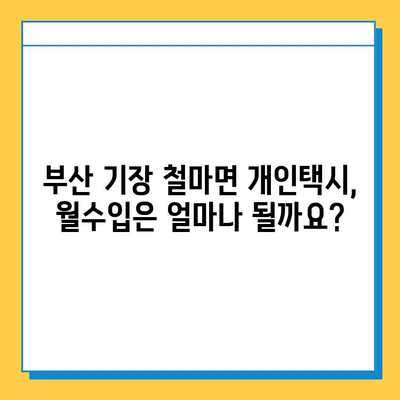 부산 기장군 철마면 개인택시 면허 매매 가격| 오늘 시세, 넘버값, 자격조건, 월수입, 양수교육 | 상세 가이드