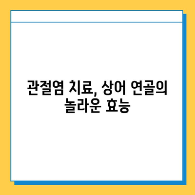 상어 연골, 관절 건강의 새로운 지평| 관절염증약의 효능과 활용 가이드 | 상어 연골, 관절염, 건강, 치료, 회복