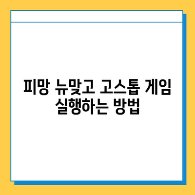 피망 뉴맞고 설치 후 고스톱 게임 바로 시작하기 |  고스톱 게임 실행, 게임 가이드, 피망 게임