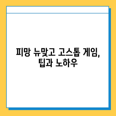 피망 뉴맞고 설치 후 고스톱 게임 바로 시작하기 |  고스톱 게임 실행, 게임 가이드, 피망 게임