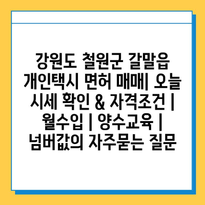 강원도 철원군 갈말읍 개인택시 면허 매매| 오늘 시세 확인 & 자격조건 | 월수입 | 양수교육 | 넘버값