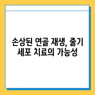 관절 연화증 극복의 희망, 골수 줄기 세포 주사의 가능성 | 관절 연화증 치료, 줄기 세포 치료, 재생 의학