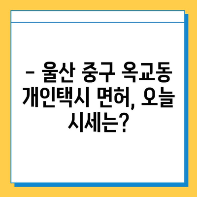 울산 중구 옥교동 개인택시 면허 매매 가격| 오늘 시세, 넘버값, 자격조건, 월수입, 양수교육 | 상세 정보