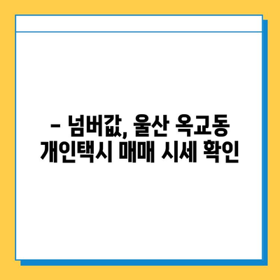 울산 중구 옥교동 개인택시 면허 매매 가격| 오늘 시세, 넘버값, 자격조건, 월수입, 양수교육 | 상세 정보