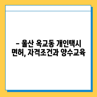 울산 중구 옥교동 개인택시 면허 매매 가격| 오늘 시세, 넘버값, 자격조건, 월수입, 양수교육 | 상세 정보