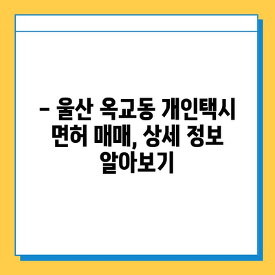 울산 중구 옥교동 개인택시 면허 매매 가격| 오늘 시세, 넘버값, 자격조건, 월수입, 양수교육 | 상세 정보