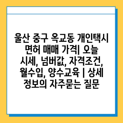 울산 중구 옥교동 개인택시 면허 매매 가격| 오늘 시세, 넘버값, 자격조건, 월수입, 양수교육 | 상세 정보