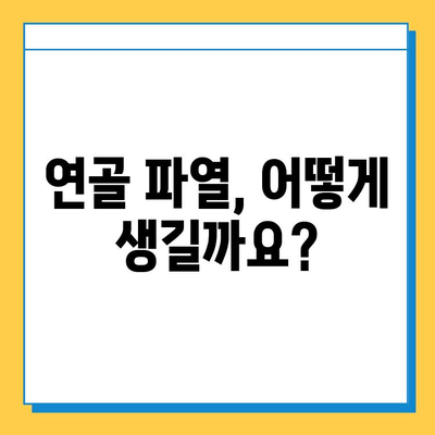 연골 파열, 가볍게 여기지 마세요| 심각성과 치료법 이해하기 | 연골 파열, 증상, 치료, 재활