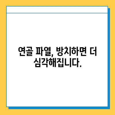 연골 파열, 가볍게 여기지 마세요| 심각성과 치료법 이해하기 | 연골 파열, 증상, 치료, 재활