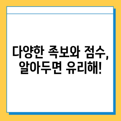 피망 뉴맞고 고스톱 점수 계산법 & 규칙 완벽 정리 | 게임, 점수, 룰, 가이드