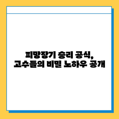 무료 고스톱 게임 마스터를 위한 피망장기 완벽 가이드 | 고스톱 게임, 피망장기, 무료 게임, 게임 전략