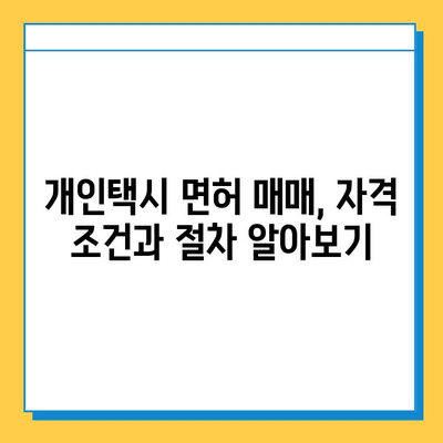 대구 북구 고성동 개인택시 면허 매매 가격| 오늘 시세, 자격조건, 월수입, 양수교육 정보 | 넘버값, 번호판, 최신 정보